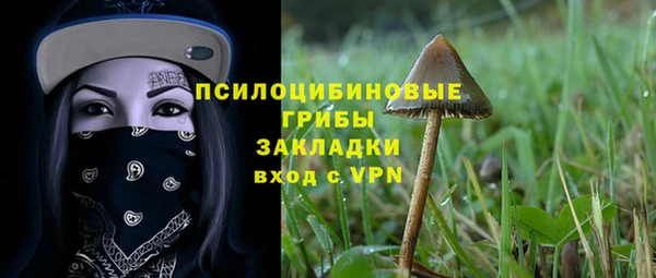 мдпв Пересвет