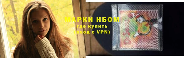 хмурый Пестово
