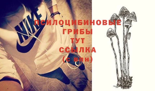 мдпв Пересвет