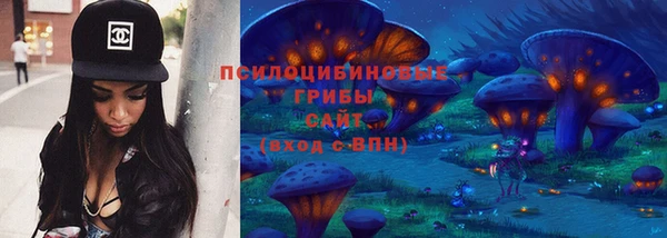 хмурый Пестово