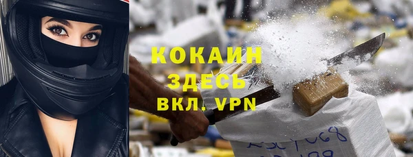 хмурый Пестово